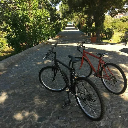 Farm stay Cefala Santa Flavia